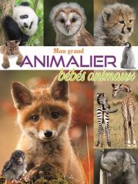 Mon grand animalier bébés animaux