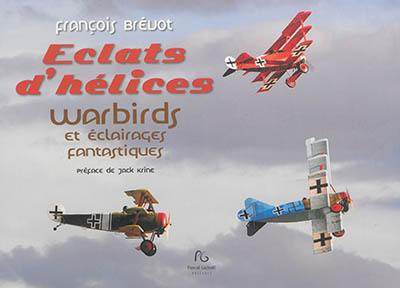 Eclats d'hélice : warbirds et éclairages fantastiques