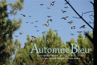 Automne bleu : chasse à la palombe