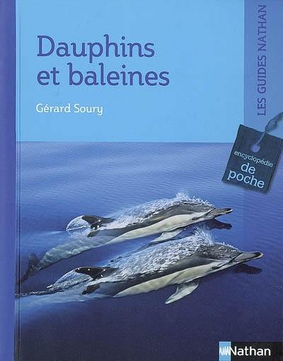 Dauphins et baleines