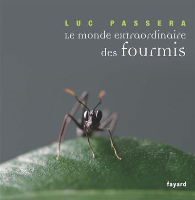 Le monde extraordinaire des fourmis