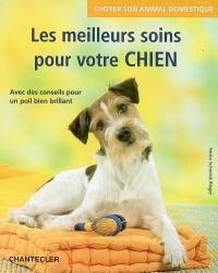 Les meilleurs soins pour votre chien : avec des conseils pour un poil brillant