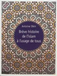 Brève histoire de l'islam à l'usage de tous