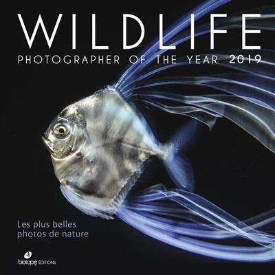 Wildlife Photographer of the year 2019 : les plus belles photos de nature