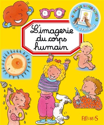 L'imagerie du corps humain