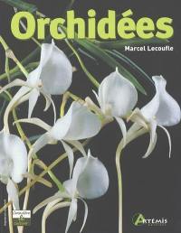 Orchidées