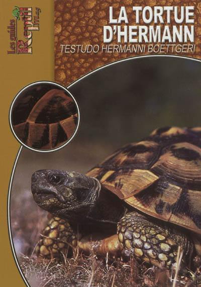 La tortue d'Hermann orientale : Testudo hermanni boettgeri