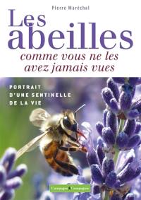 Les abeilles comme vous ne les avez jamais vues : portrait d'une sentinelle de la vie