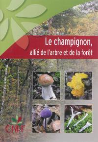 Le champignon, allié de l'arbre et de la forêt