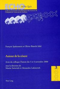 Autour de la césure : actes du colloque Damon des 3 et 4 novembre 2000