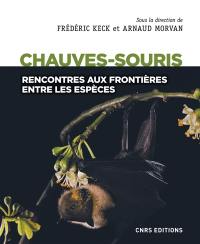 Chauves-souris : rencontres aux frontières entre les espèces