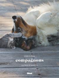 Compagnons : chats et chiens, nos héros du quotidien