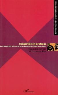 L'expertise en pratique : les risques liés à la vache folle et aux rayonnements ionisants