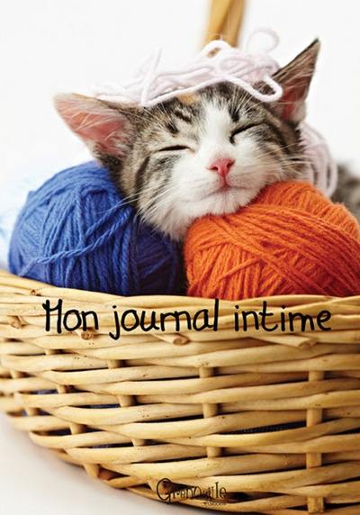 Mon journal intime : chat