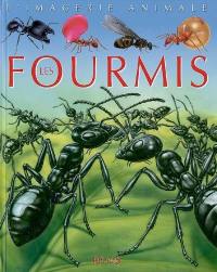 Les fourmis