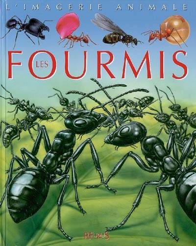 Les fourmis