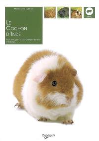 Le cochon d'Inde : morphologie, choix, comportement, maladies...