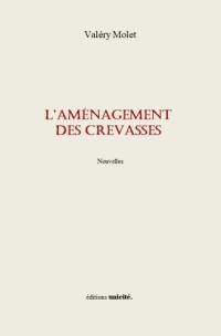 L'aménagement des crevasses