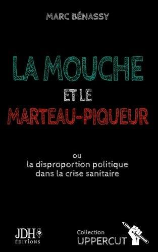 La mouche et le marteau-piqueur ou La disproportion politique dans la crise sanitaire