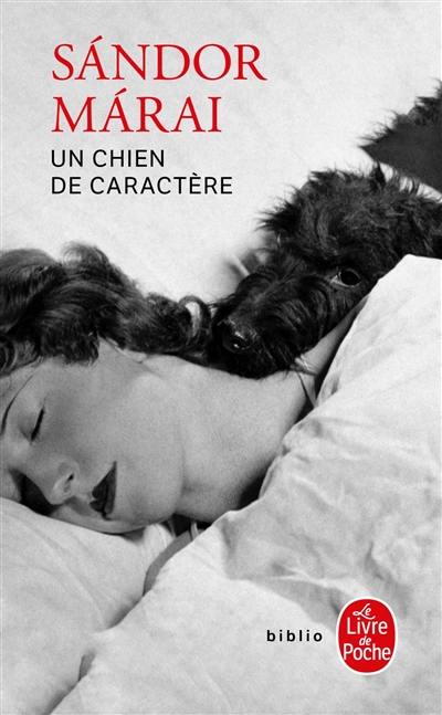 Un chien de caractère