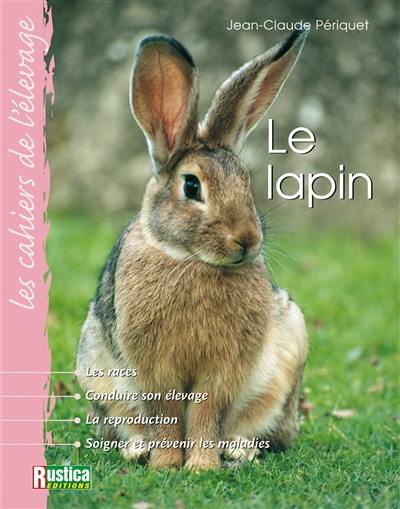 La lapin