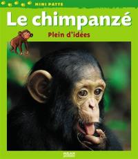 Le chimpanzé : plein d'idées