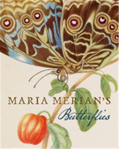 Maria Merian´s Butterflies