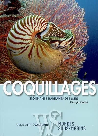 Coquillages : étonnants habitants des mers