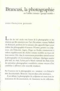 Brancusi, la photographie ou L'atelier comme groupe mobile