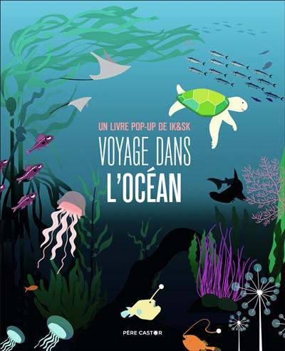 Voyage dans l'océan