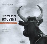 Une terre de bouvine (au coeur des Alpilles)