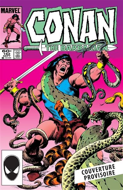 Conan le barbare : l'intégrale. Vol. 17. 1984