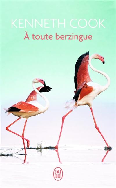 A toute berzingue