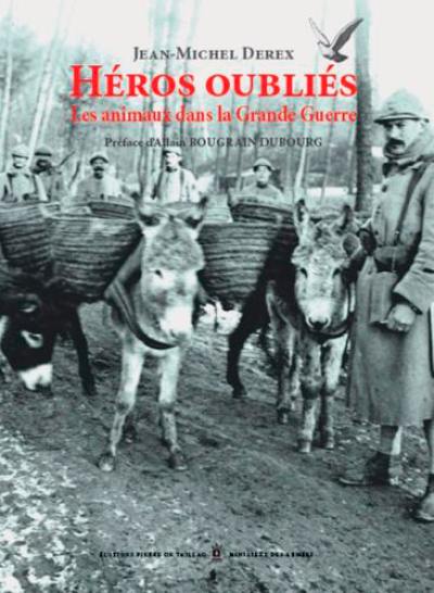 Héros oubliés : les animaux dans la Grande Guerre