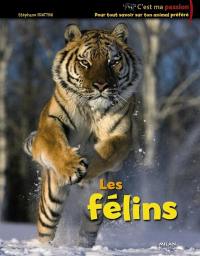 Les félins