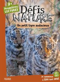 Un petit tigre audacieux