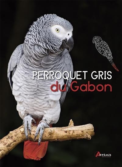 Perroquet gris du Gabon