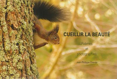 Cueillir la beauté : poèmes et photographies