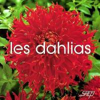 Les dahlias