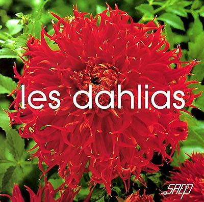 Les dahlias