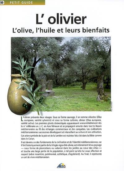 L'olivier : l'olive, l'huile et leurs bienfaits