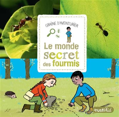 Le monde secret des fourmis