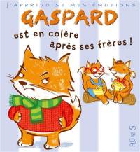 Gaspard est en colère contre ses frères !