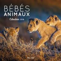 Bébés animaux : calendrier 2018