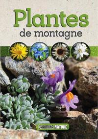 Plantes de montagne