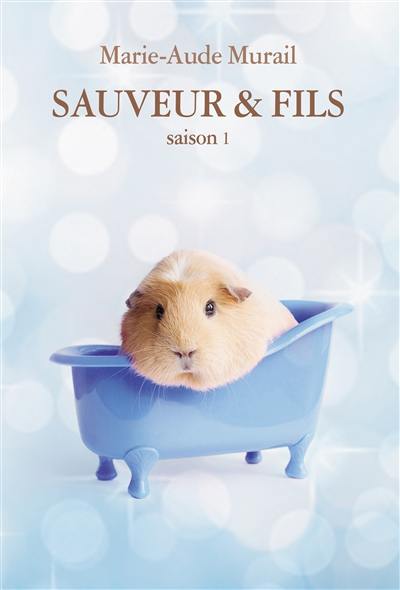 Sauveur & fils. Saison 1