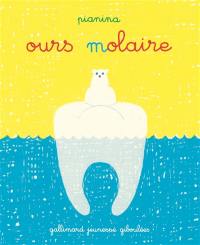 Ours molaire