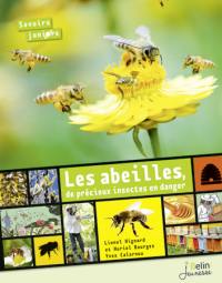 Les abeilles, de précieux insectes en danger