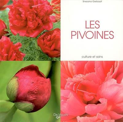 Les pivoines : culture et soins