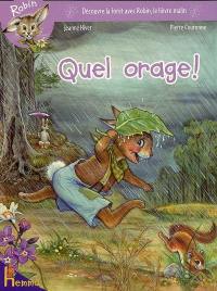 Robin : découvre la forêt avec Robin, le lievre malin. Vol. 2006. Quel orage !